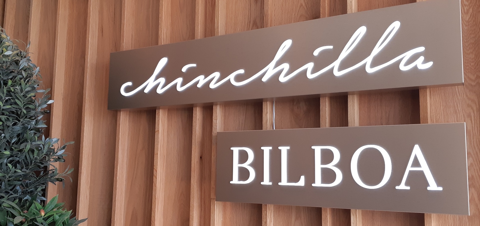 Read more about the article Raising The Bar – Chinchilla Rooftop Café & Bar