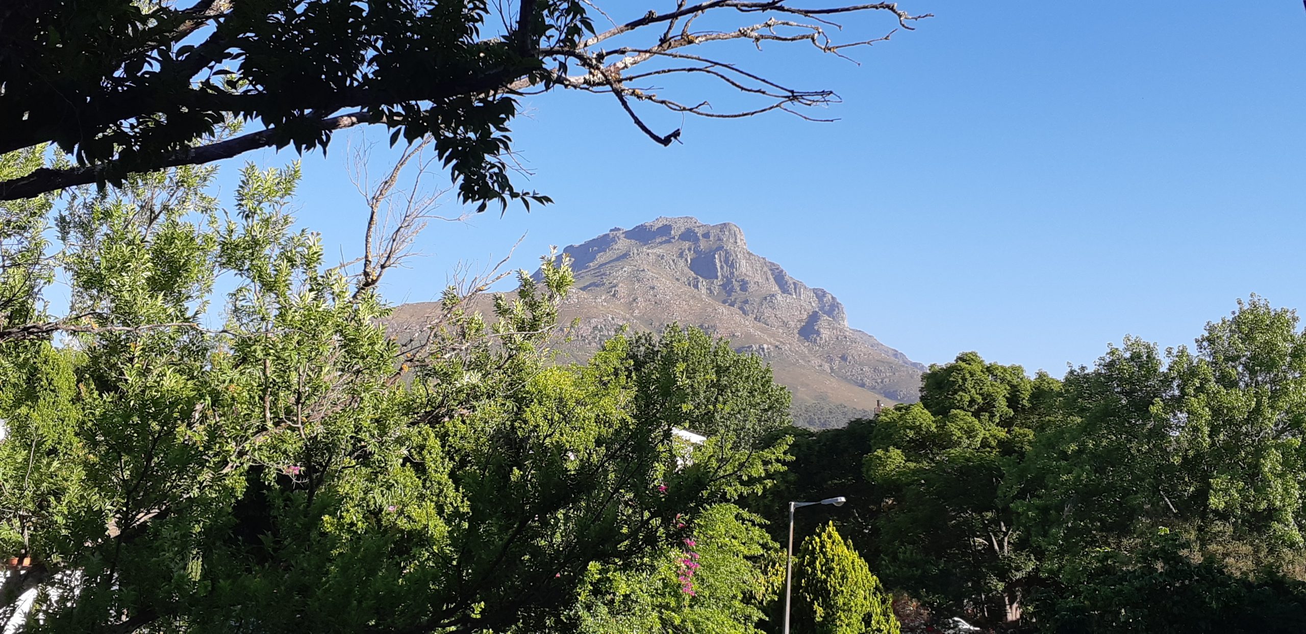 Read more about the article Explore The Heart Of Stellenbosch