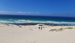 Read more about the article 8 Exciting Experiences to Enjoy in the Overberg