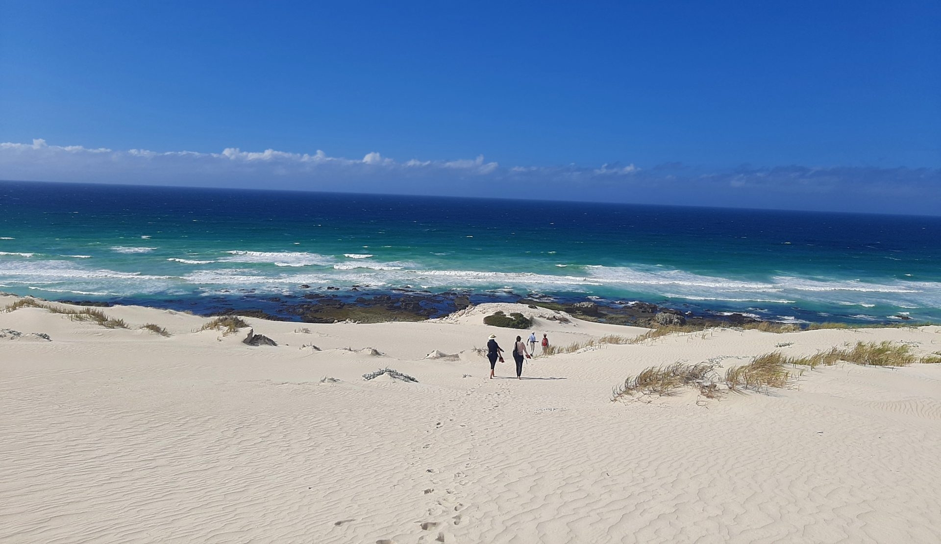 You are currently viewing 8 Exciting Experiences to Enjoy in the Overberg