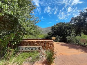 Read more about the article A Review – Gourmet Sushi & Wine at GlenWood Vineyards