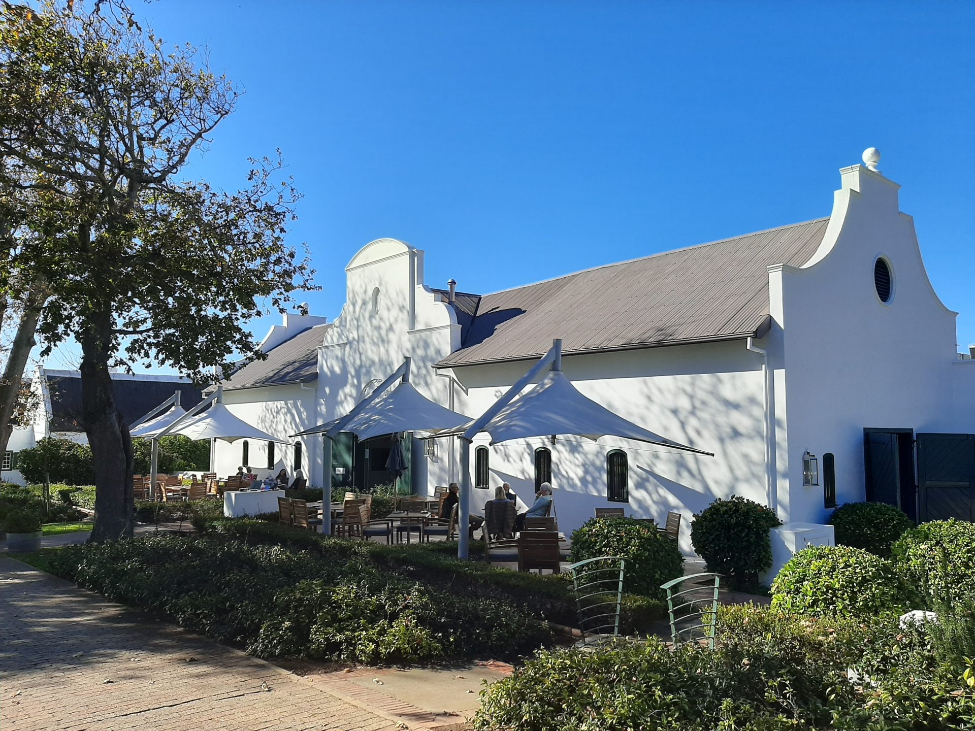 Read more about the article Take a Sensory Journey with Tryn Restaurant at Steenberg