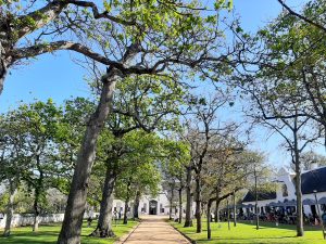 5 Great Reasons To Experience Groot Constantia’s Visitors Route