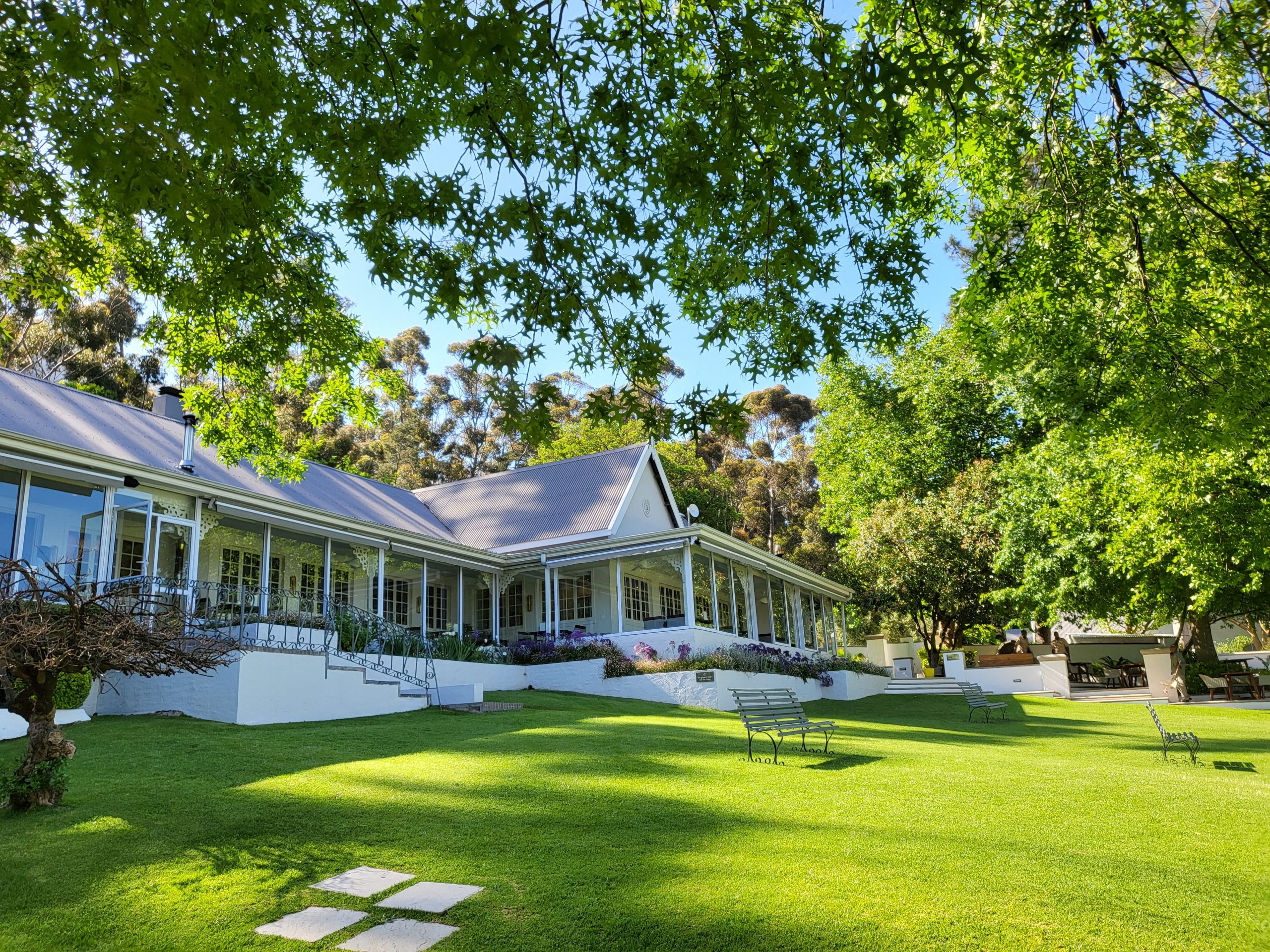 You are currently viewing La Petite Ferme – An Epicurean Delight in Franschhoek