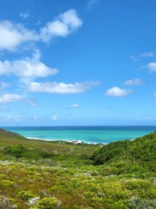 Read more about the article De Hoop Nature Reserve – A Lush Eco-Lover’s Paradise
