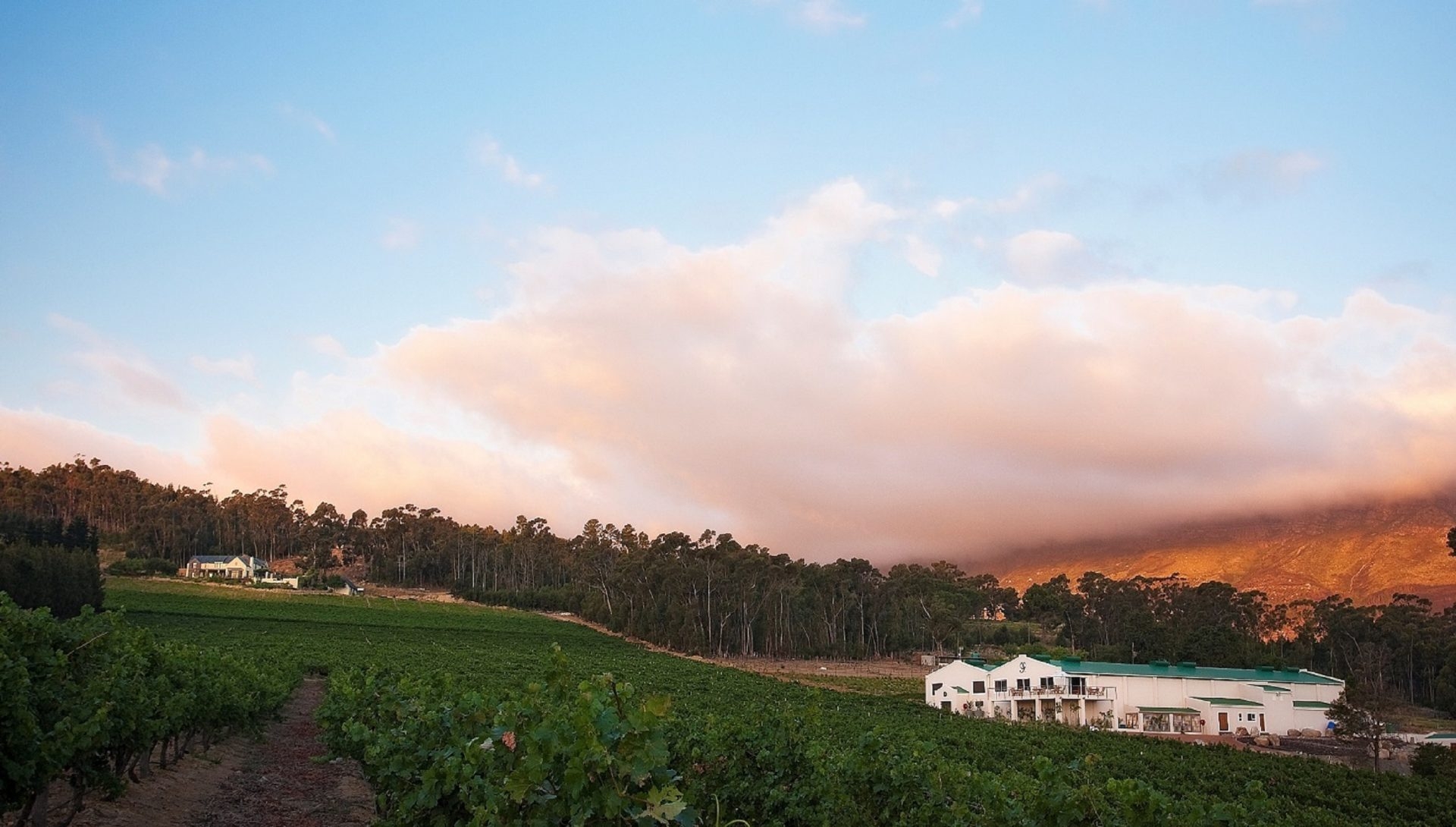 You are currently viewing Journey’s End Vineyards Awarded ‘Ethical Company of the Year’ at the Drinks Business Green Awards 2020