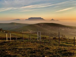 Read more about the article Fine Wine, Food and Adventure Awaits in the Durbanville Wine Valley
