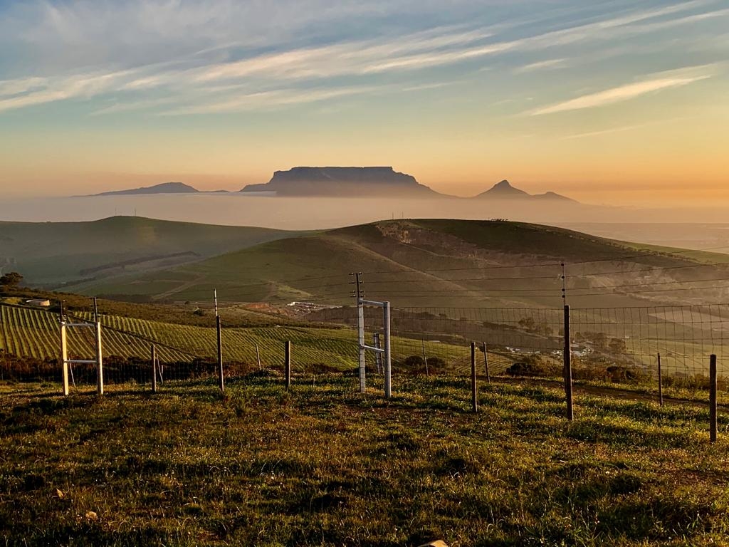 You are currently viewing Fine Wine, Food and Adventure Awaits in the Durbanville Wine Valley