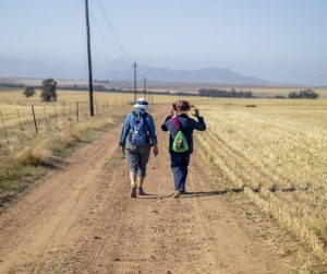 Read more about the article Weekend Cape Camino in aid of StreetSmart SA