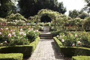 IMPORTANT NOTICE (DATE CHANGE) – Celebrate Garden Day at the Cellars-Hohenort’s ‘Open Gardens’