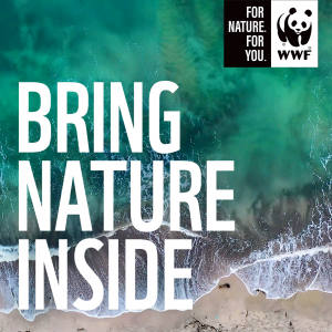 Read more about the article WWF SA Soundscape Playlist Brings Nature Inside