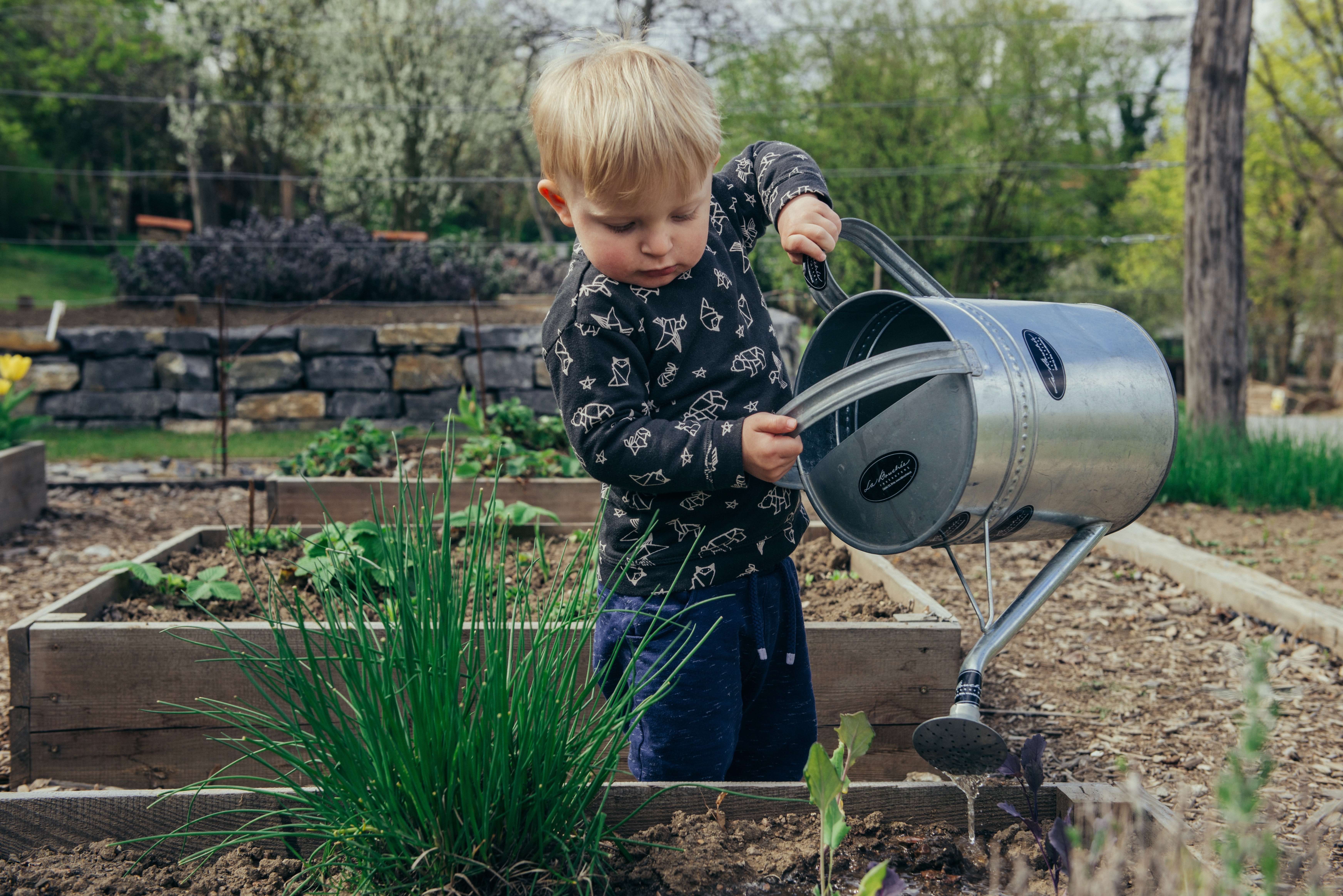 Read more about the article 5 Fun Eco-Friendly Garden Ideas for Kids